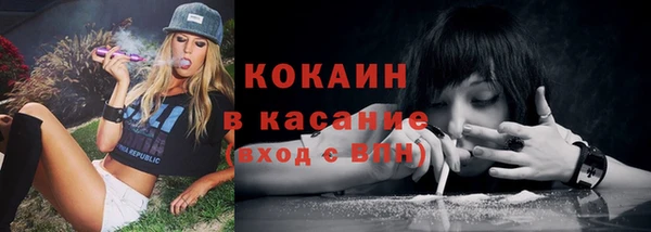 эйфоретик Богданович