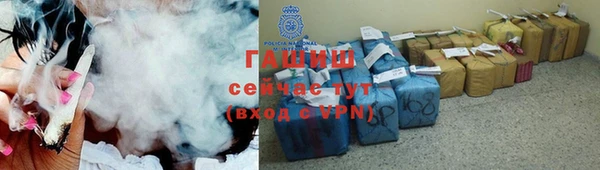 эйфоретик Богданович