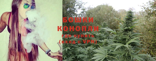 spice Белокуриха